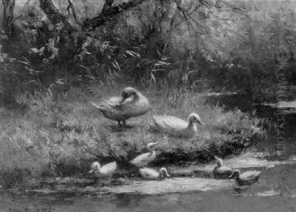 Ducks And Ducklings by David Adolph Constant Artz