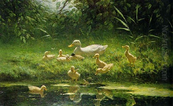 Ducklings On A Sunlit Riverbank Oil Painting by David Adolph Constant Artz