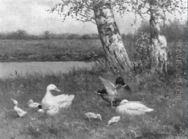 Eendenfamilie Aan De Waterkant by David Adolph Constant Artz