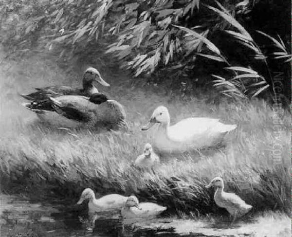 Duck With Ducklings On A Riverbank by David Adolph Constant Artz