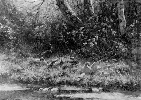 Ducks And Ducklings On A Sunlit Riverbank Oil Painting by David Adolph Constant Artz