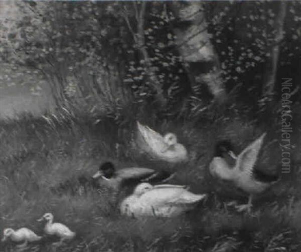 Wiese Mit Vier Enten Und Zwei Kuken Oil Painting by David Adolph Constant Artz