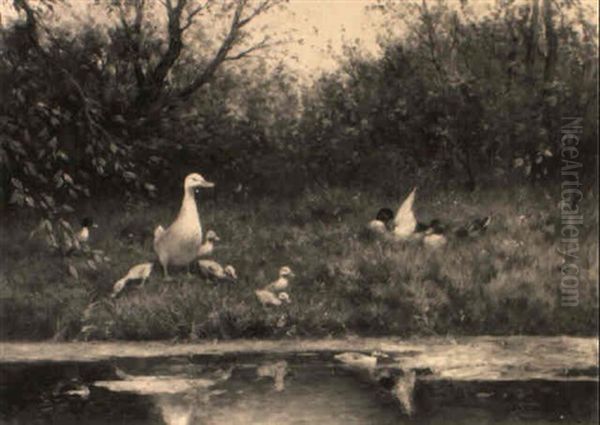 Ducks Along A Ditch by David Adolph Constant Artz