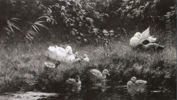 Enten Am Teich Oil Painting by David Adolph Constant Artz