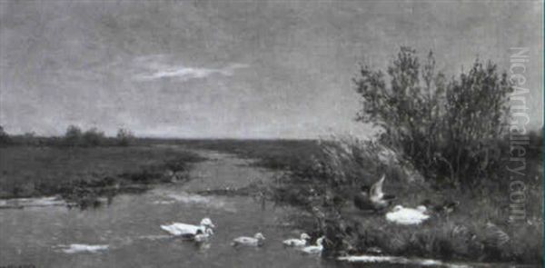 Enten An Einem Altwasser In Weiter Wiesenlandschaft Oil Painting by David Adolph Constant Artz