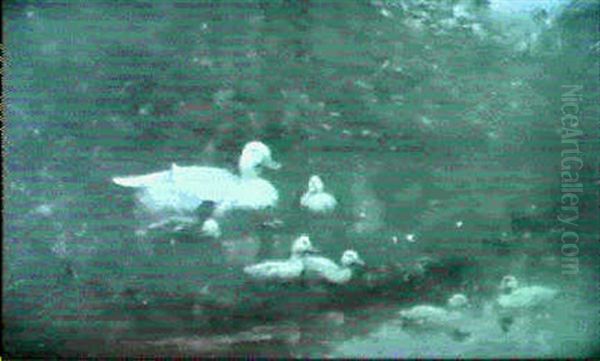 A Duck And Ducklings On A River Bank Oil Painting by David Adolph Constant Artz