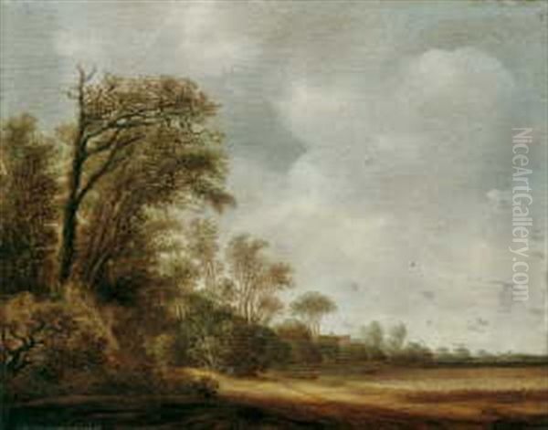 Sommerliche Dunenlandschaft Oil Painting by Pieter Jansz van Asch