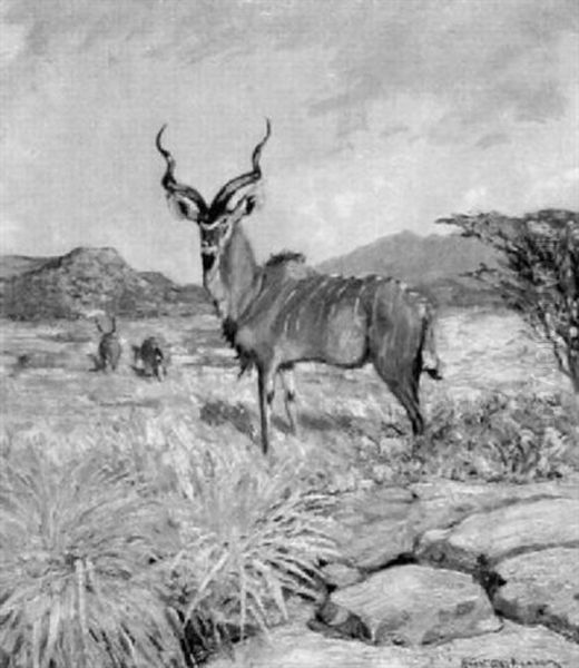 Kudu-antilope In Afrikanischer Landschaft Oil Painting by Hans Anton Aschenborn