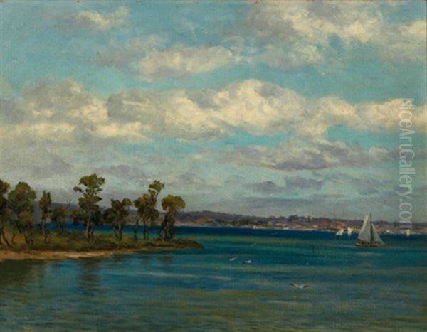 Swan River Oil Painting by James Ashton