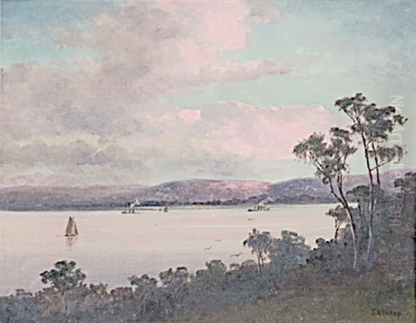 Swan River Oil Painting by James Ashton