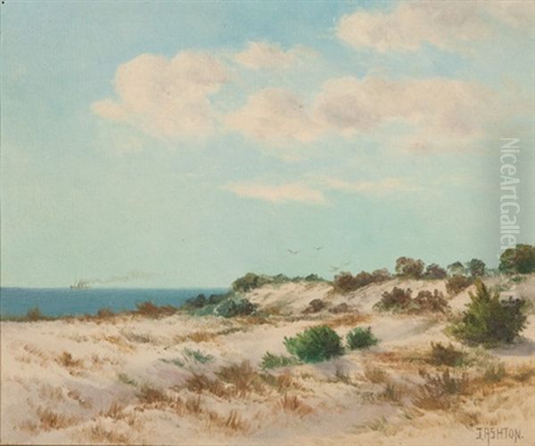 Sand Dunes Oil Painting by James Ashton