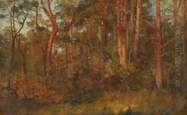 Furuskog Oil Painting by Anders Monsen Askevold