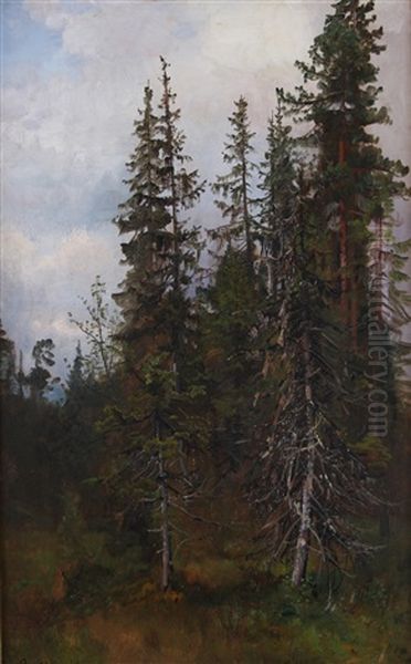 Skogstudie Oil Painting by Anders Monsen Askevold