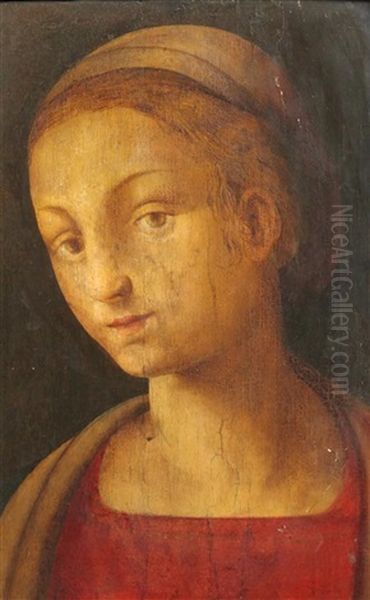 Bust Length Portrait Of A Lady In A Red Dress Oil Painting by Amico Aspertini