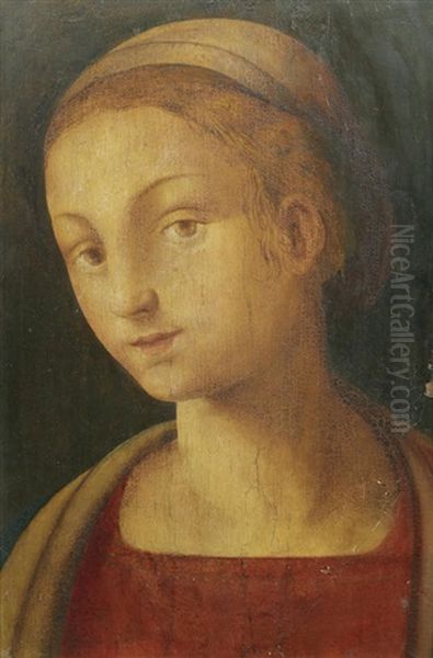 Portrait Of A Lady, Bust-length, In A Red Dress Oil Painting by Amico Aspertini