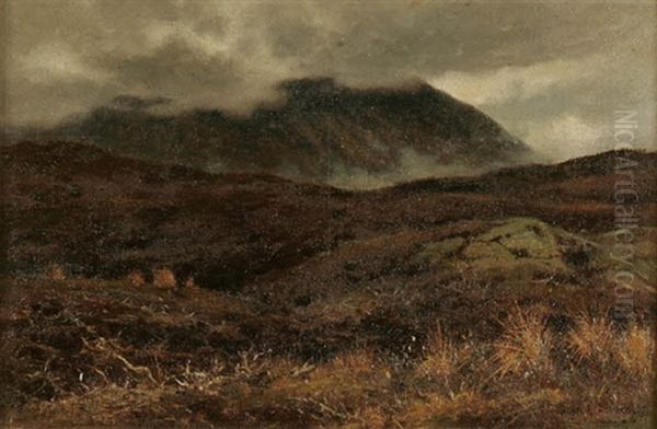 Low Clouds On The Heath Oil Painting by Reginald Aspinwall