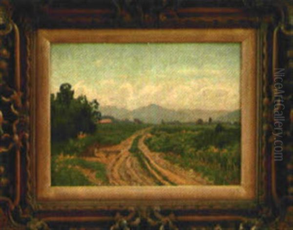 Feldweg In Voralpenland Oil Painting by Fanny Assenbaum