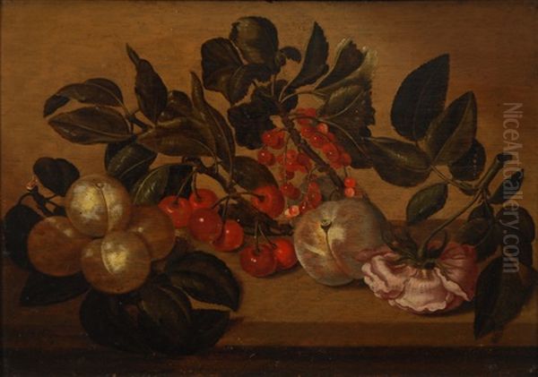 Prunes, Cerises, Groseilles, Peche Et Rose Sur Un Entablement Oil Painting by Bartholomeus Assteyn