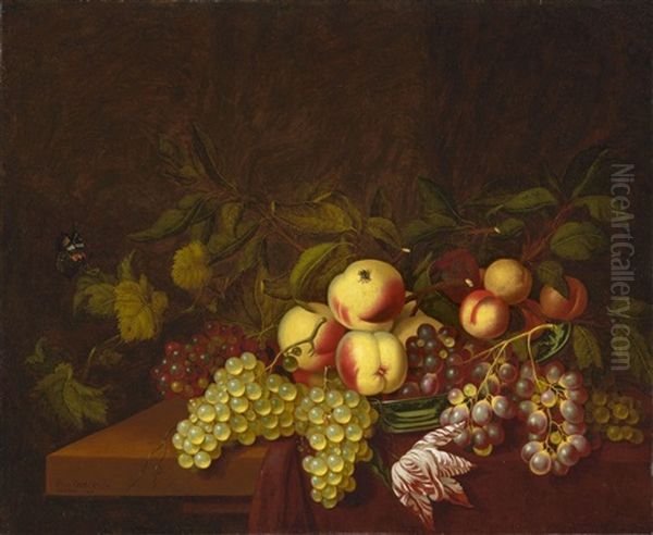 Stillleben Mit Pfirsichen, Trauben Und Einer Tulpe Oil Painting by Bartholomeus Assteyn