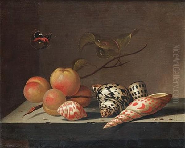 Peaches And Shells On A Stone Ledge With A Red Admiral Butterfly Oil Painting by Bartholomeus Assteyn