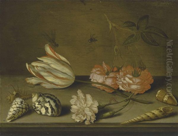 A Semper Augustus Tulip, A Carnation And Roses, With Shells And Insects, On A Ledge Oil Painting by Balthasar Van Der Ast