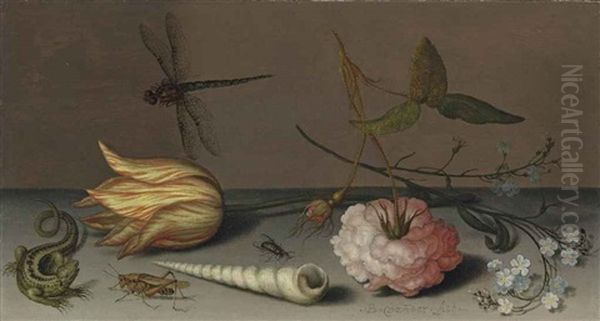 A Tulip, A Carnation, Spray Of Forget-me-nots, With A Shell, A Lizard And A Grasshopper On A Ledge, A Dragonfly In Flight Oil Painting by Balthasar Van Der Ast