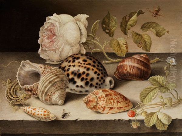 Kleines Stilleben Mit Meeresmuscheln Und Meeresschnecken Zwischen Rose, Erdbeeren Und Eidechse Oil Painting by Balthasar Van Der Ast