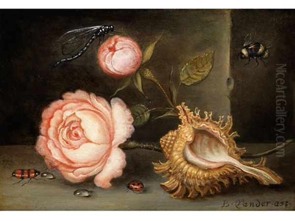 Kleines Blumenstillleben by Balthasar Van Der Ast