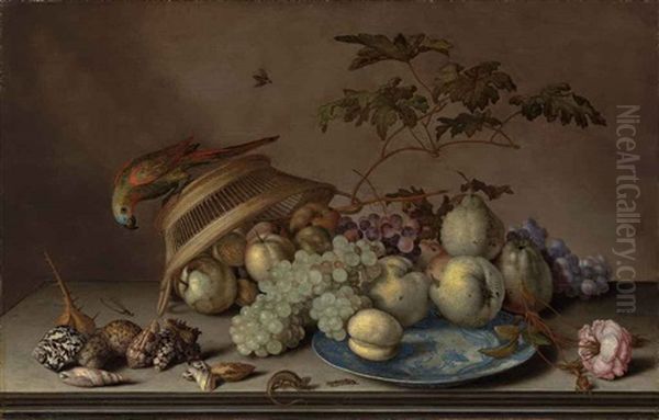 Pears, Grapes And A Peach On A Porcelain Platter, With Apples, A Rose, Shells, A Dragonfly, A Caterpillar And A Lizard On A Stone Ledge... Oil Painting by Balthasar Van Der Ast