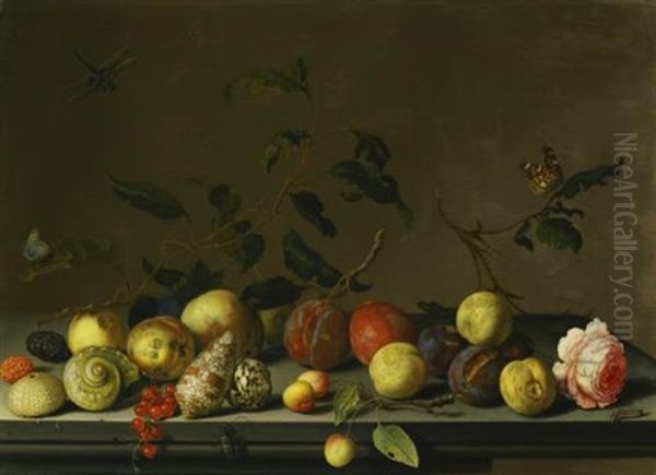 A Still Life Of Fruit And Shells With A Rose And Various Insects Upon A Stone Ledge Oil Painting by Balthasar Van Der Ast