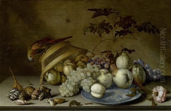 Stilleben Mit Fruchten Auf Einem Porzellanteller, Einem Papagei Auf Einem Flechtkorb, Muscheln Und Insekten Oil Painting by Balthasar Van Der Ast