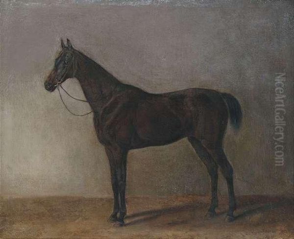 A Brown Gelding Oil Painting by Adam Albrecht