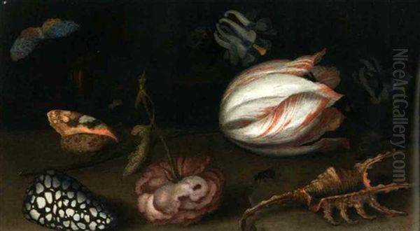 Stilleben Mit Einer Tulpe, Einer Rose, Muschel Und Einem Schmetterling (+ Stilleben Mit Einer Nelke, Einer Schnecke, Muschel Und Einer Heuschrecke; Pair) Oil Painting by Balthasar Van Der Ast