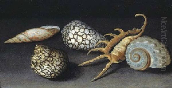 Shells On A Table Oil Painting by Balthasar Van Der Ast