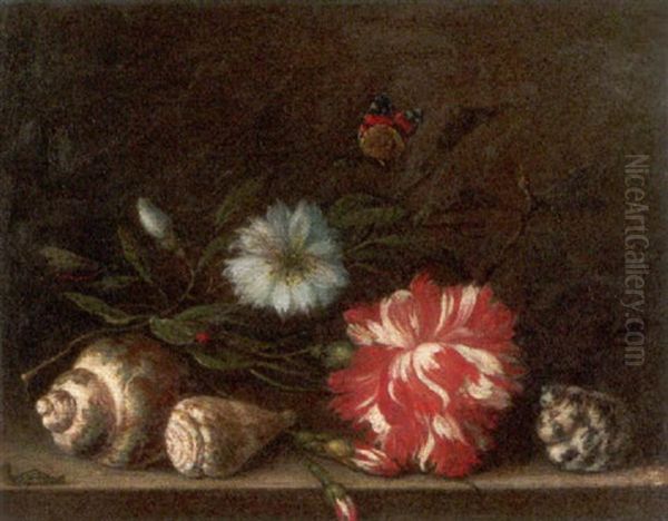 Blumenstilleben Mit Muscheln, Einem Schmetterling Und Raupe Oil Painting by Balthasar Van Der Ast