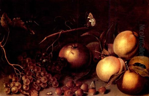 Peaches, An Orange, An Apple, Grapes, And Nuts With Insects On A Stone Ledge Oil Painting by Balthasar Van Der Ast