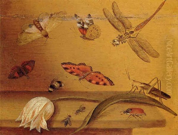 A Tulip Lying On A Table With A Grasshopper, A Bee, Butterflies And Other Insects Oil Painting by Balthasar Van Der Ast