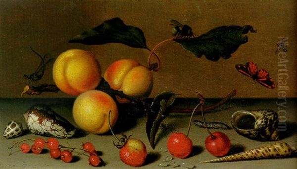 Apricots On A Stalk, Cherries, A Wild Strawberry And Other Fruit, A Butterfly, A Spider, A Bee And Other Insects On A Ledge Oil Painting by Balthasar Van Der Ast