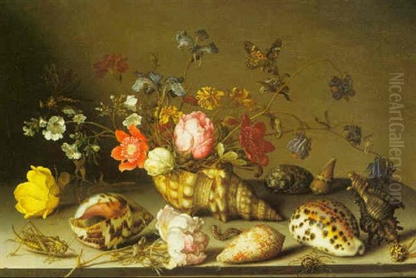 Still Life Of Flowers, Shells And Insects On A Stone Ledge Oil Painting by Balthasar Van Der Ast