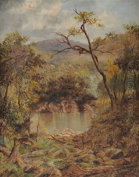 On The Manganui-a-tea. Tributary Of The Wanganui River Oil Painting by Thomas Reginald Attwood