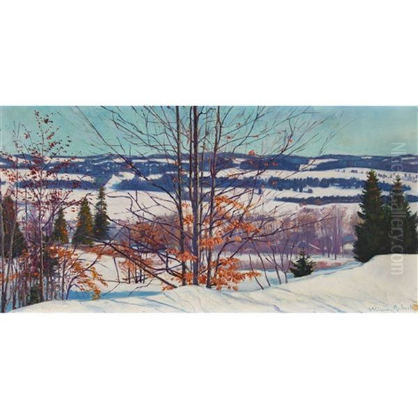 Sonnige Winterlandschaft Im Jura Oil Painting by William-Victor Aubert