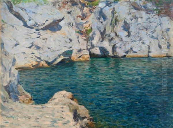 Porquerolles, Crique Du Breganconnet Oil Painting by Jean Francis Auburtin