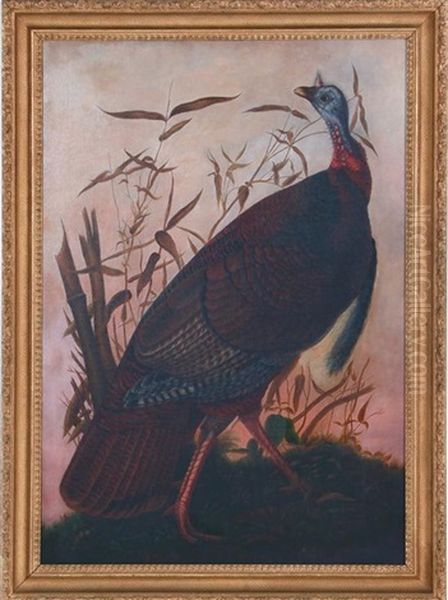 Wild Turkey (plate 1 From Birds Of America) Oil Painting by John James Audubon