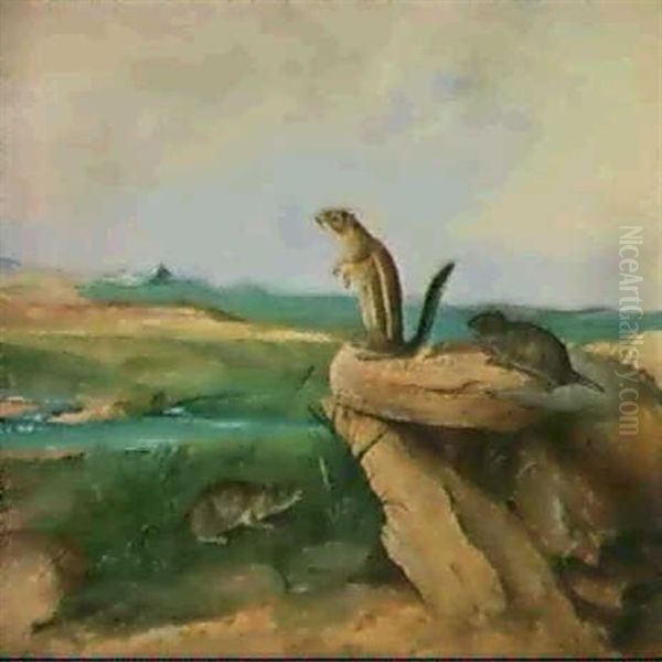 Harris Antelope Ground Squirrel, N.m. California            Vole And Wood Rat Oil Painting by John Woodhouse Audubon