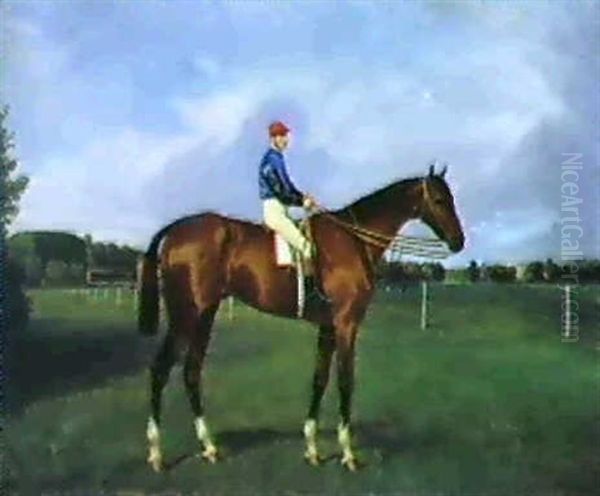 Portrait Du Cheval Rabagas Ii Oil Painting by Jonny Audy