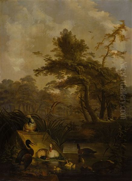 Waterbirds In A Wooded Landscape (2 Works) Oil Painting by Jan Augustini