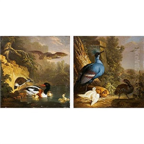 Perdiz Junto A Un Nido De Paloma Coronada Victoria Con Sus Crias (+ Avefria Intimidando A Unos Patos; Pair) Oil Painting by Jan Augustini