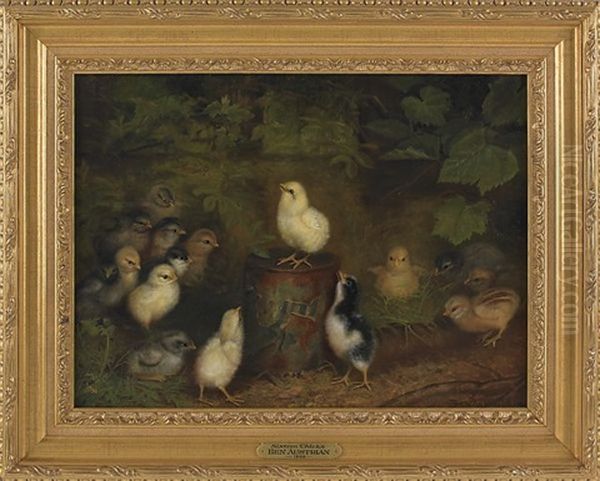 Sixteen Chicks, One Perched On A Tin Can Oil Painting by Ben Austrian