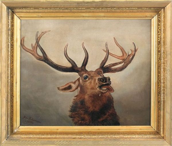 Elk Oil Painting by Ben Austrian