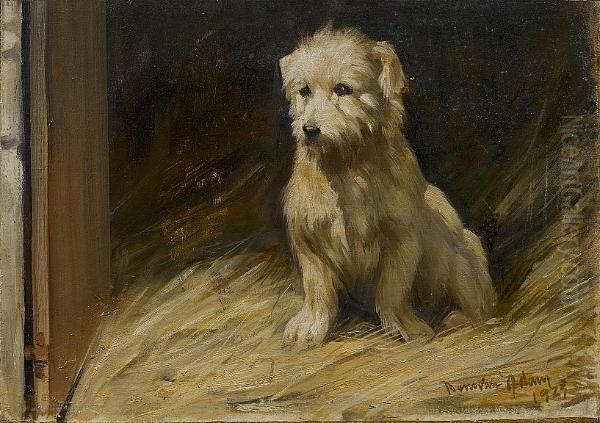 Study Of A White Terrier Oil Painting by Joseph Denovan, Adam Jnr.